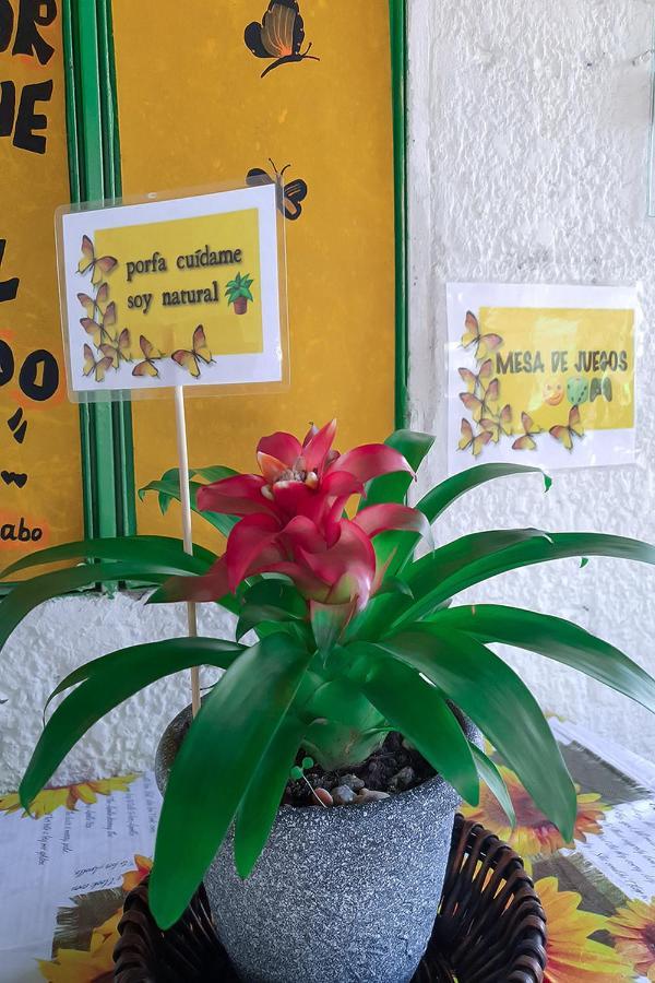 Hostal Gabo Bucaramanga Eksteriør bilde